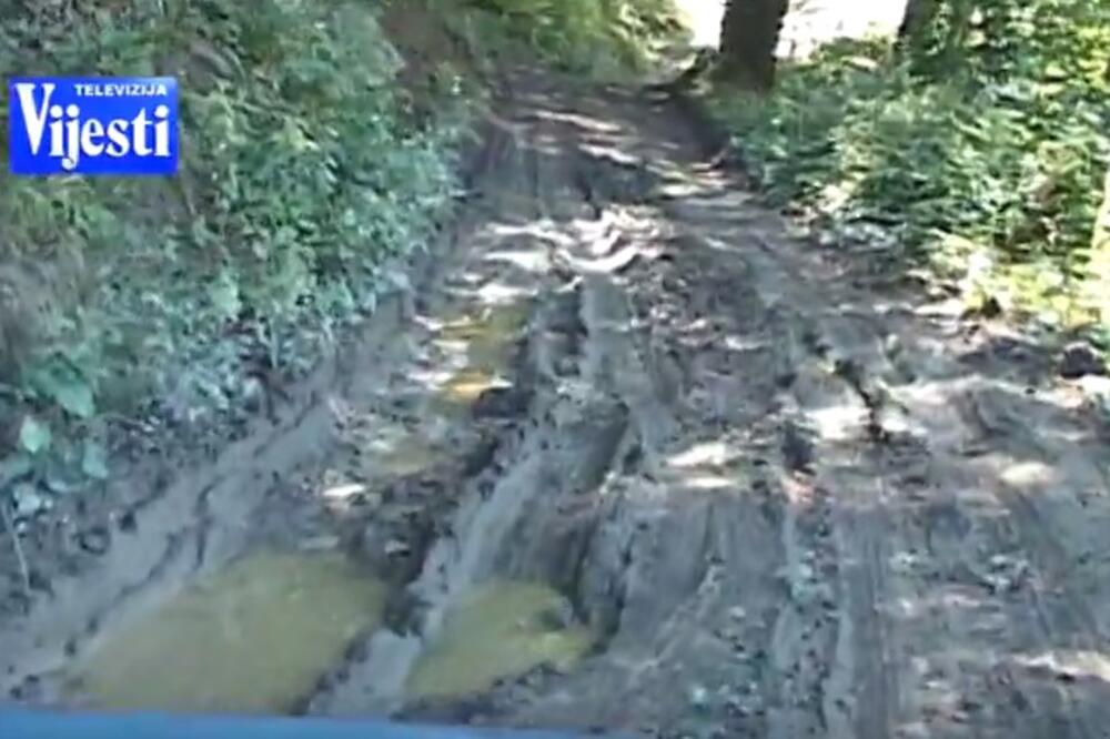 Košutići, Foto: Screenshot (YouTube)