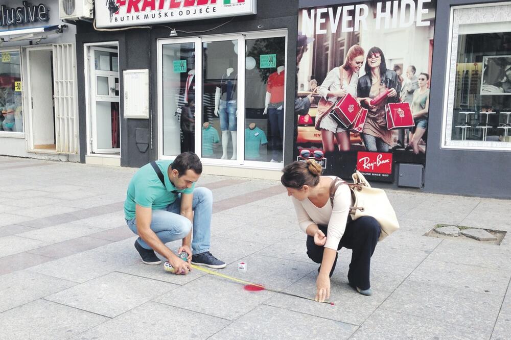 drvored, Herceovačka ulica, Foto: Damira Kalač