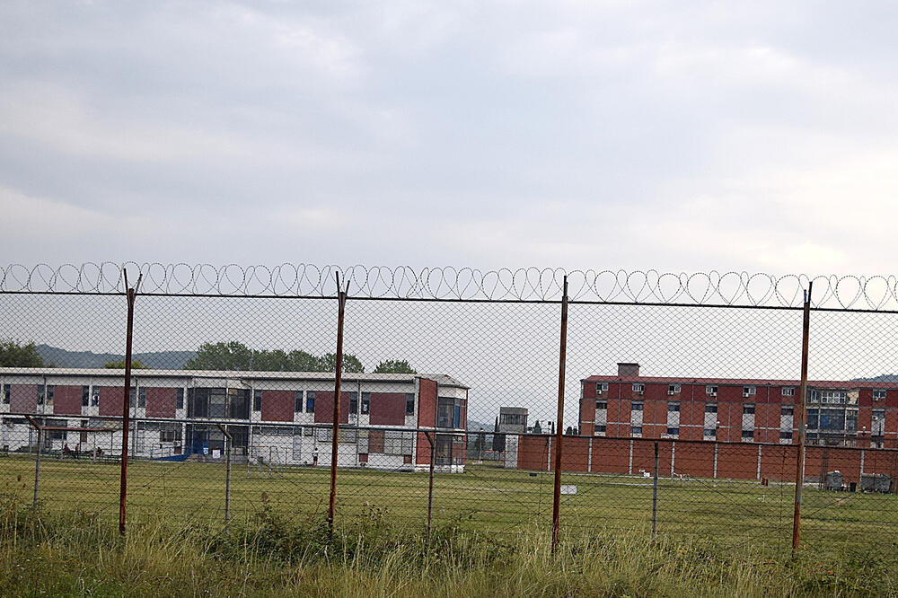 ZIKS, Foto: Boris Pejović, Boris Pejović