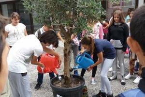 Osnovna škola "Drago Milović" dobija botaničku baštu