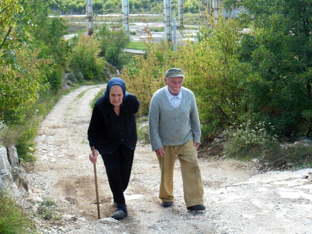 Anka i Čedomir Nenezić