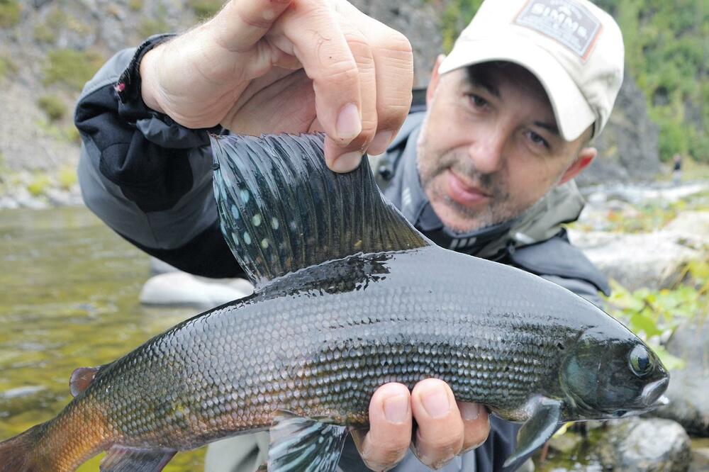 Velibor Ivanović, Foto: Privatna arhiva