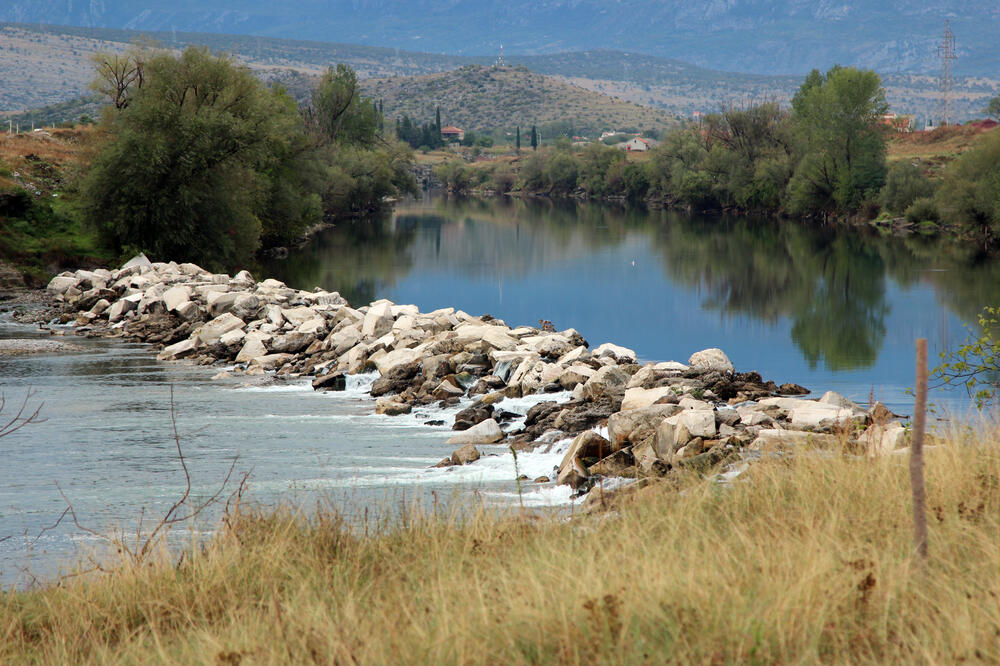 protest, brana, Morača, Foto: Filip Roganović