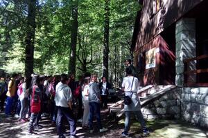 Berane: Osnovci posjetili NP Biogradska gora