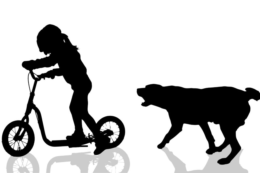 Ujed psa, Foto: Shutterstock