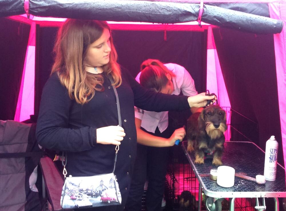 Izložba pasa, Kristina Marljukić