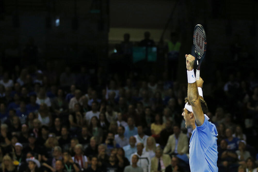Huan Martin del Potro, Foto: Reuters