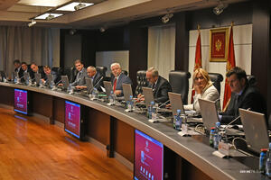 Vlada utvrdila Predlog zakona o zaštiti stranaca