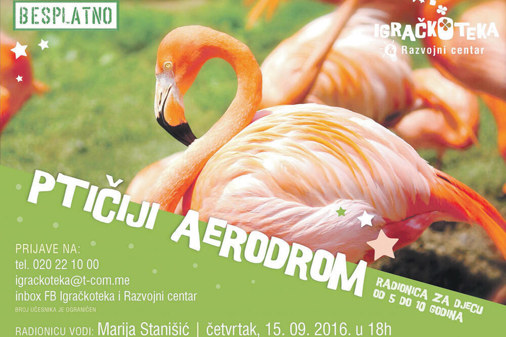 Ptičiji aerodrom, Foto: Udruženje