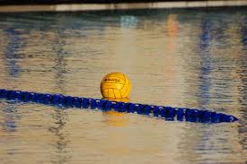 Vaterpolo lopta, Foto: Wikimedia