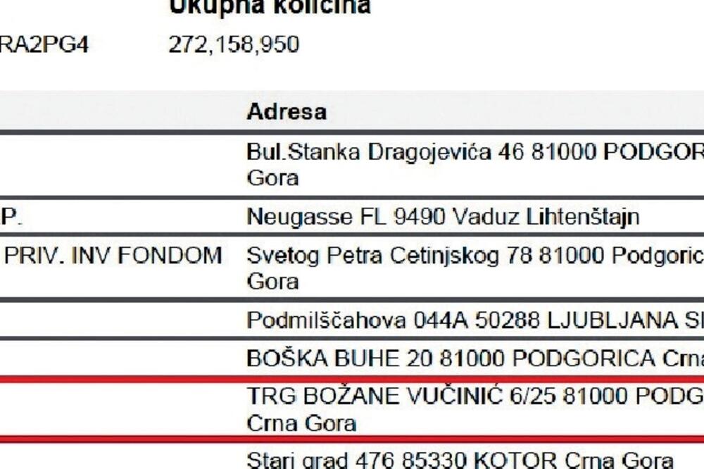 Lista najvećih akcionara