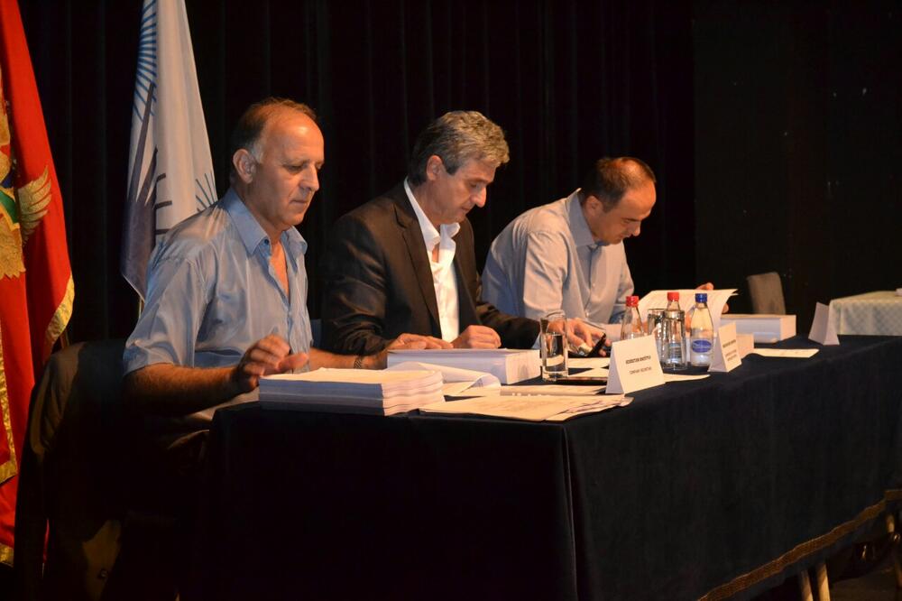 Skupština akcionara EPCG, Foto: Svetlana Mandić