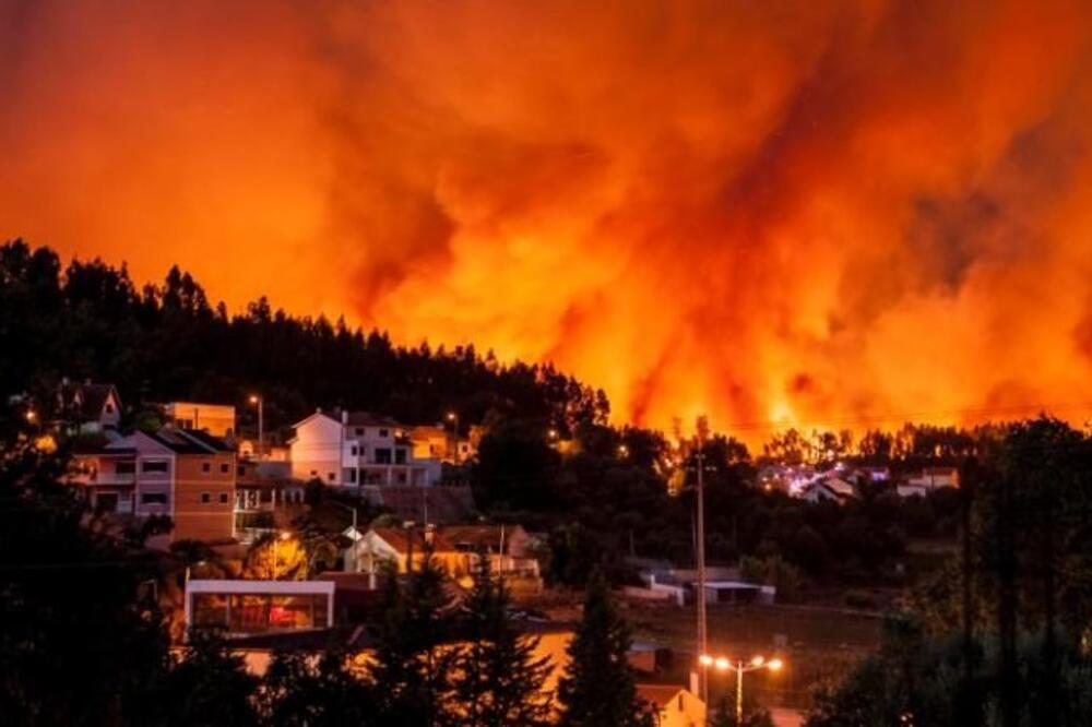 Portugal požar, Foto: Twitter (screenshot)