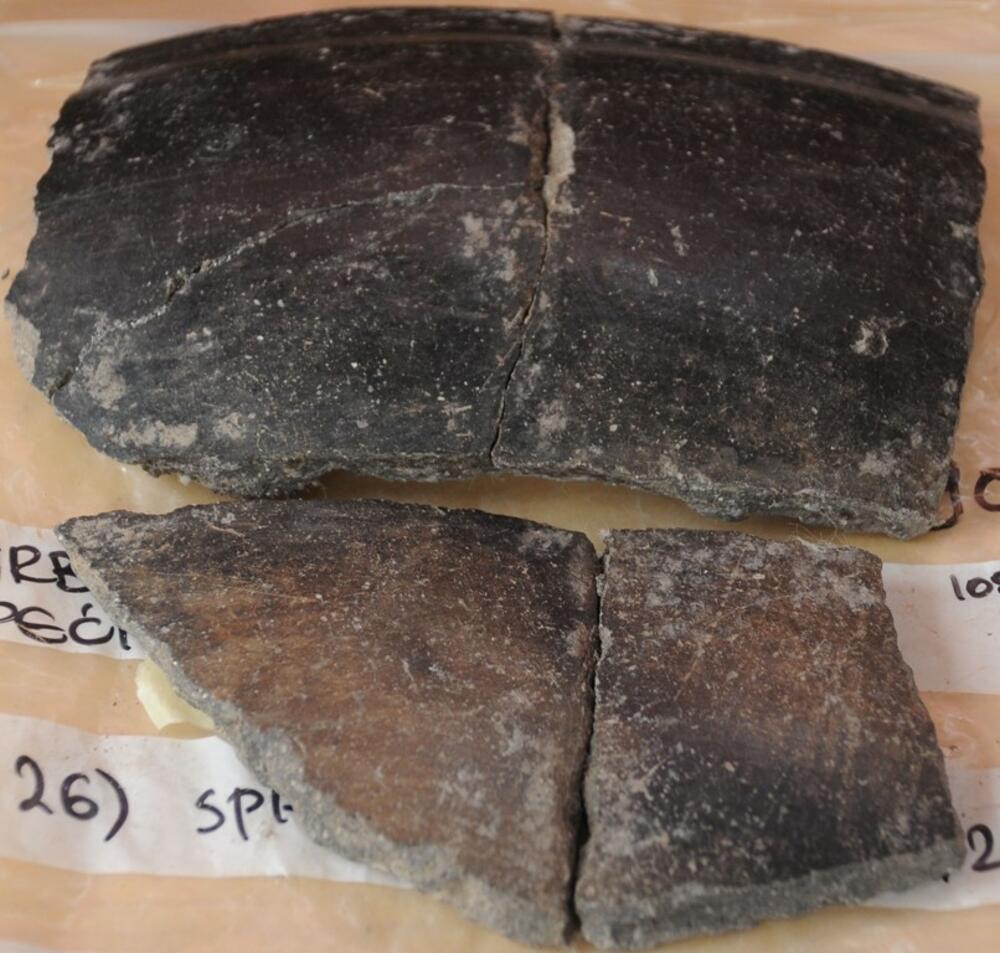 Arheolozi, Vrbička pećina