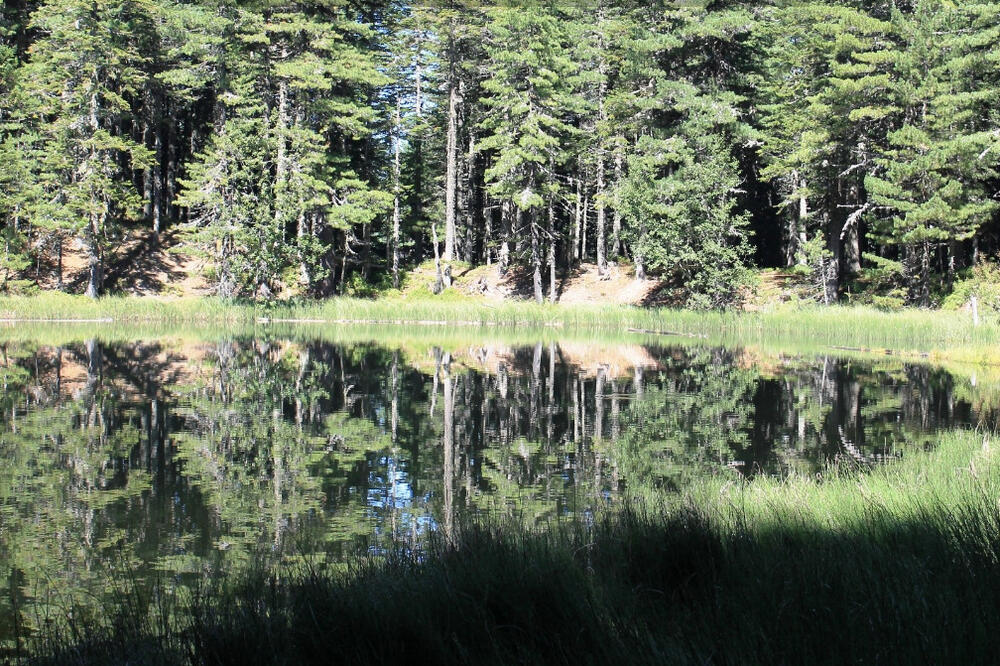 Visitor, Foto: Jasna Gajević