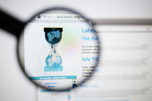 WikiLeaks, portparol Kremlja