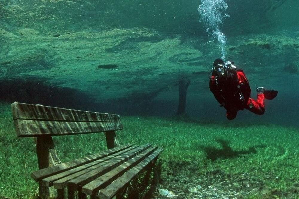 gruner zi, Foto: Twitter (screenshot)