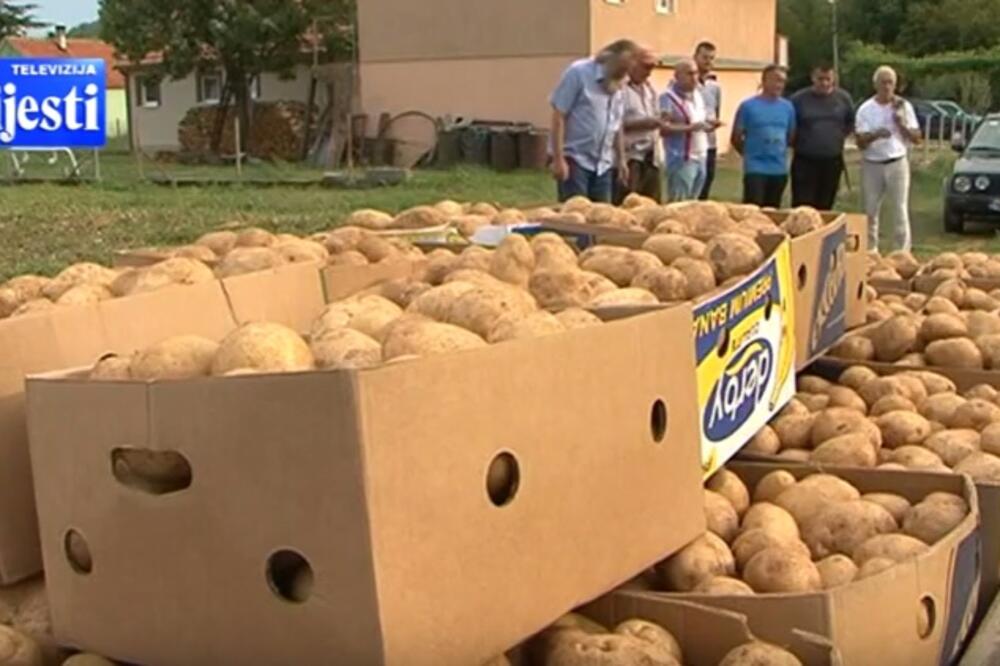 Poljoprivrednici, Miločane, Foto: Screenshot (TV Vijesti)