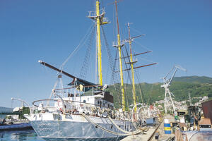 Radi se samo na "Jadranu"