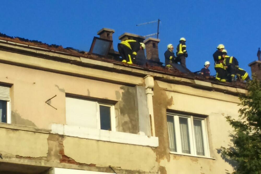 Požar u Nikšiću, Foto: Svetlana Mandić