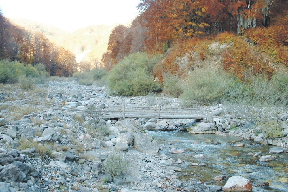 NVO Perućica, Foto: Privatna arhiva