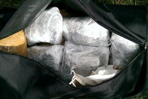 Granična policija zaplijenila 60 kg skanka: Albanac htio da...