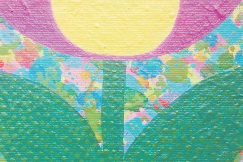 rad Sonje Đuranović(novine)