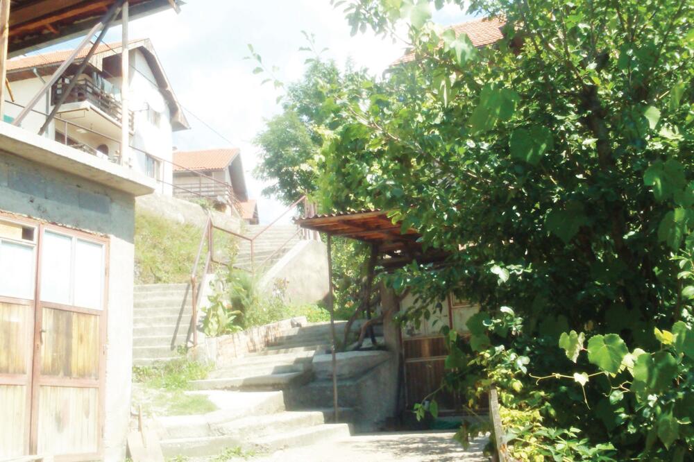 Moćevac, Foto: Goran Malidžan