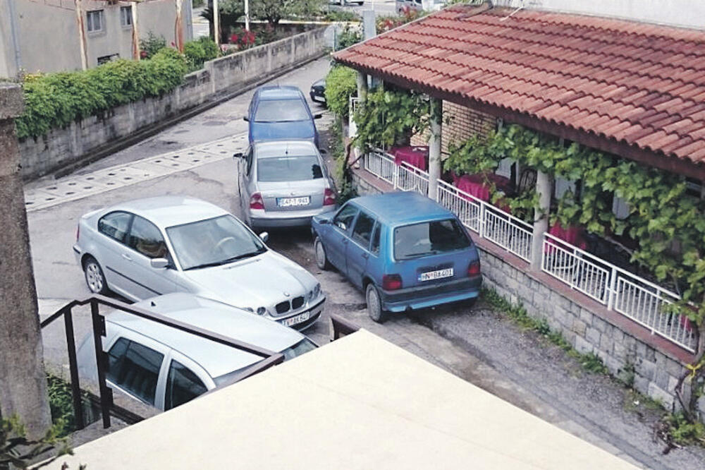 Ulica kamelija Tivat, Foto: Siniša Luković