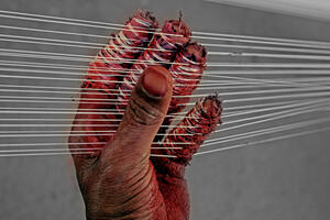 Indija: Puštanje zmajeva sa oštrim žicama odnijelo tri života