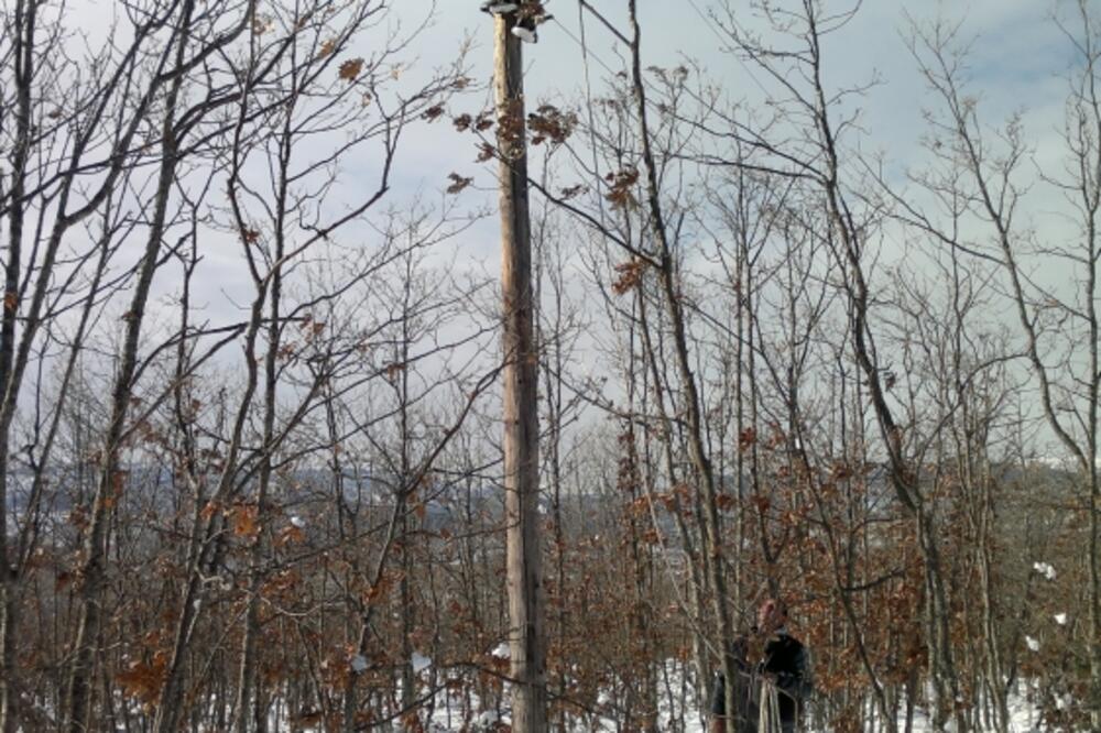 Elektrodistribucija Nikšić monteri, Foto: Darko Bulatović