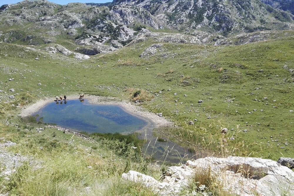vremenska, sunčano vrijeme, Foto: Dušan Cicmil