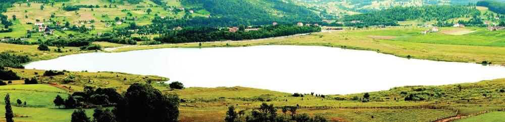 Borovica jezero