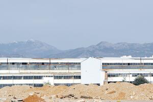 Vlada aktivnije oko "Dakića"