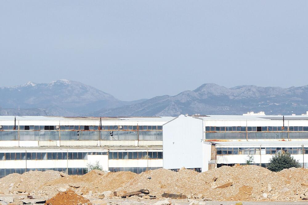 Hala, Radoje Dakić, Foto: Filip Roganović