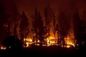 Španija: Šumski požar i dalje bukti, još 500 ljudi evakuisano