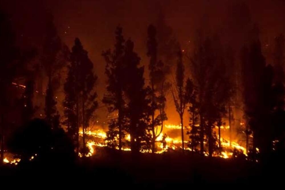 požar Španija, Foto: Twitter