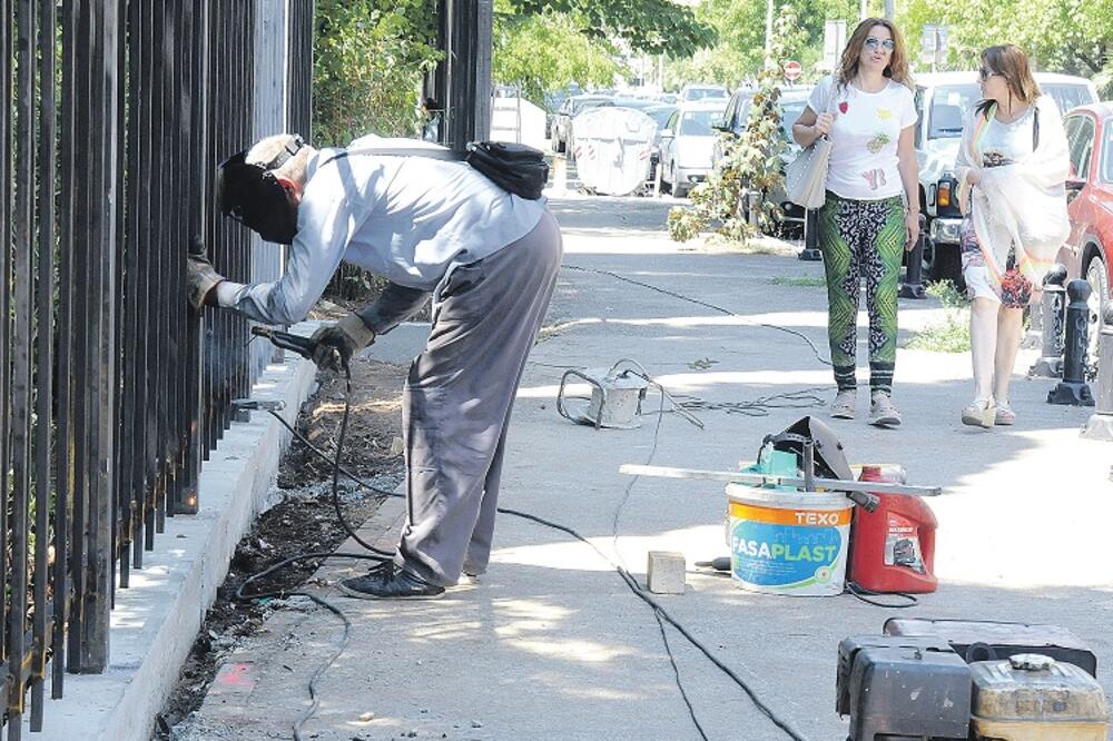 Karađorđev park, Foto: Zoran Đurić
