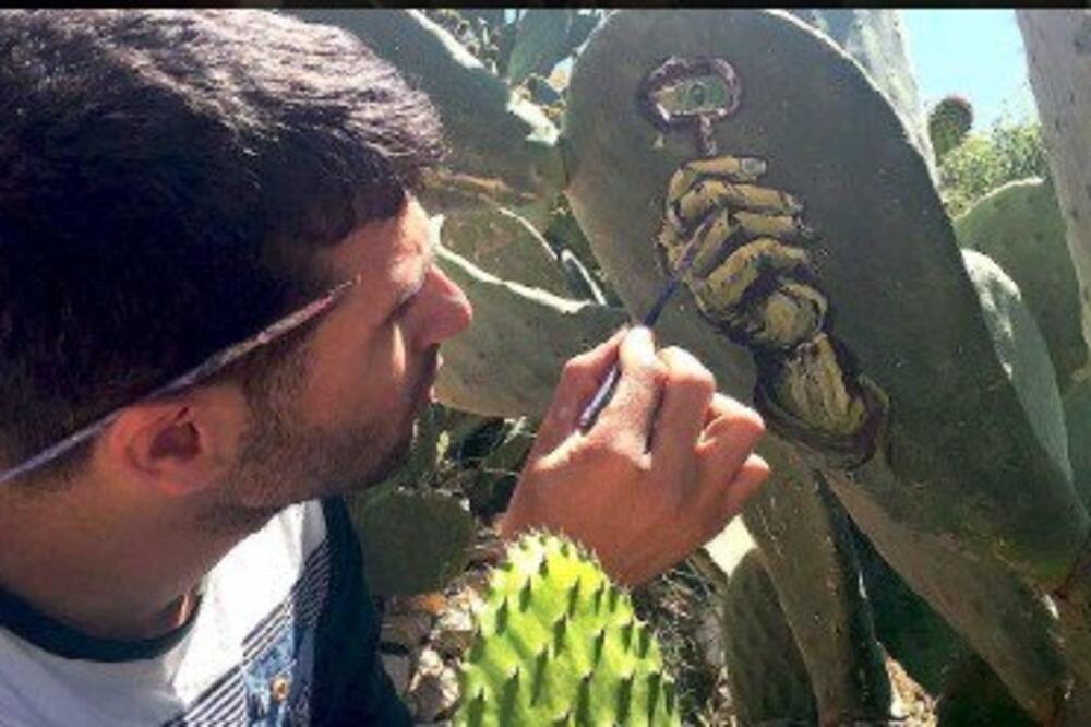 kaktus platno, Foto: Twitter