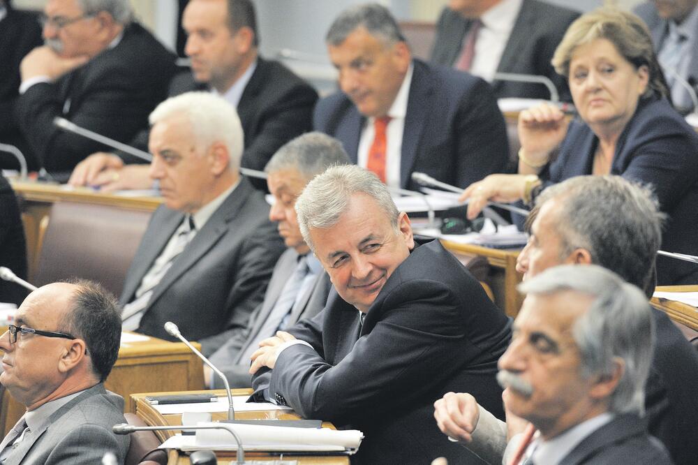 DPS Skupština, Foto: Savo Prelević