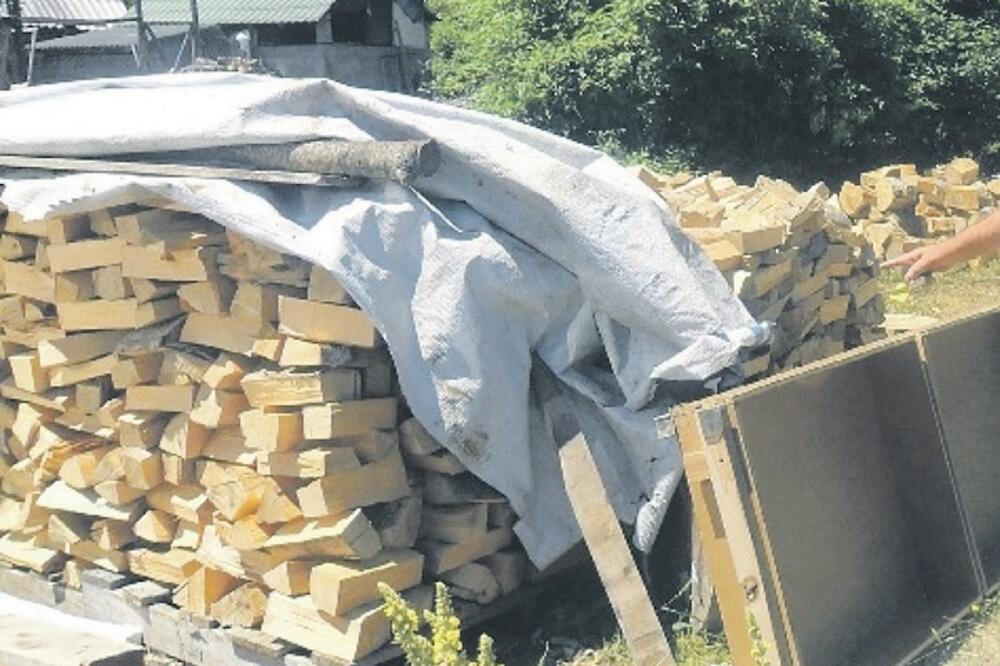 drva, Foto: Dragana Šćepanović