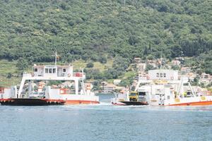 Tivtu mrvice braći Ban milioni