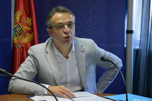 Danilović: Biće suspenzija zbog pokušaja opstrukcije izbornog...