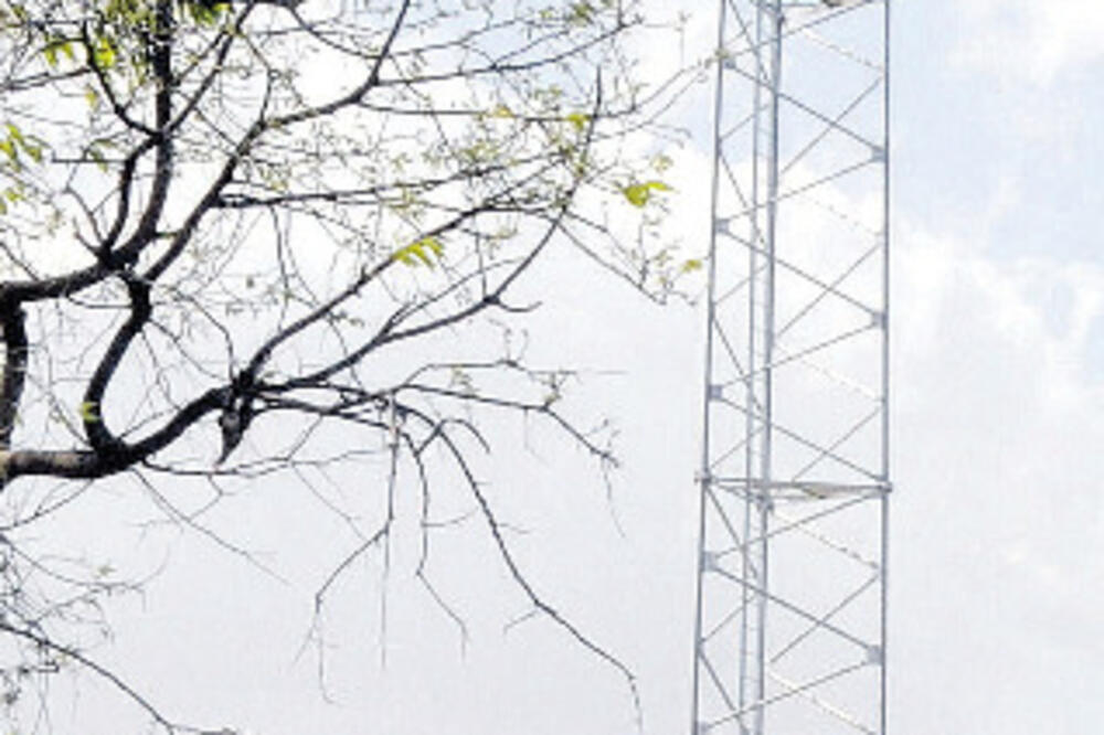 Struja, Foto: Zoran Đurić