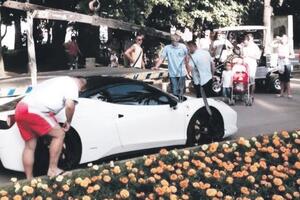 Budva: Nervozni vozači biju radnike pauka, Baranin ujeo inspektora