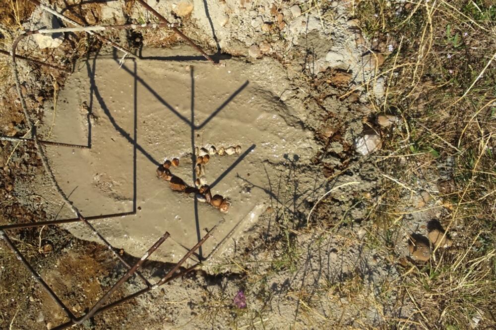 ALTERNATIVA I FABRIKA "MAGLE", Foto: Svetlana Mandić