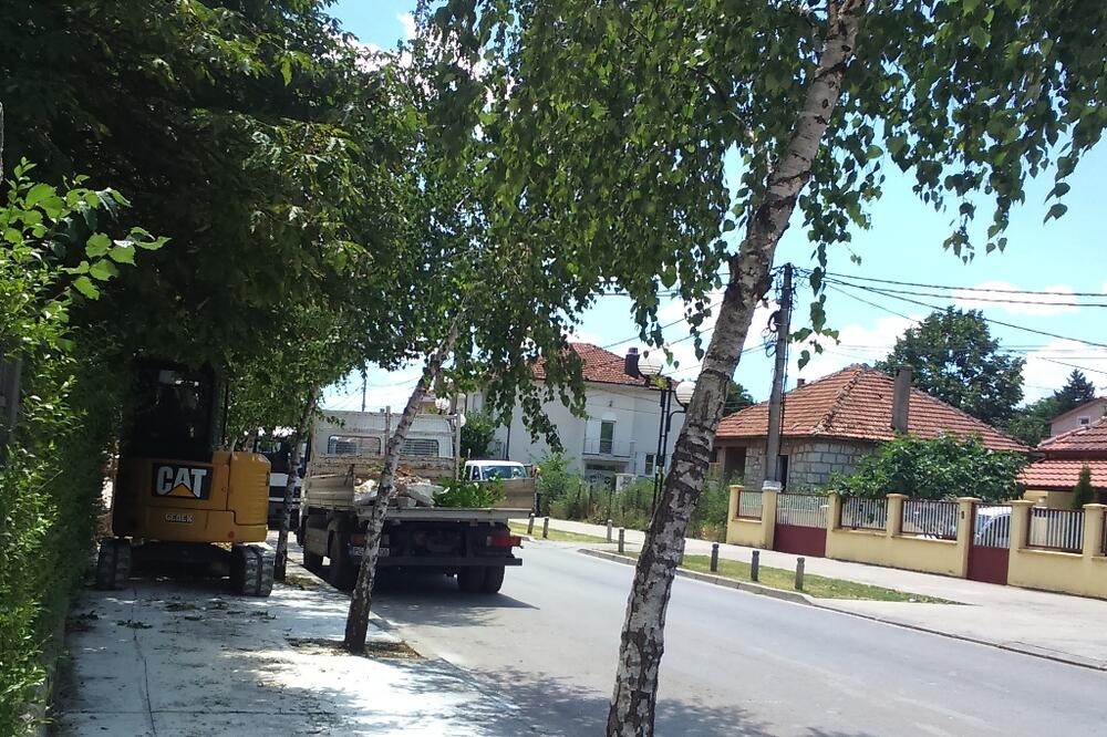 Nikšić, radovi, voda, Foto: Svetlana Mandić