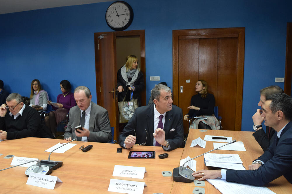 Odbor za ekonomiju, Foto: Boris Pejović