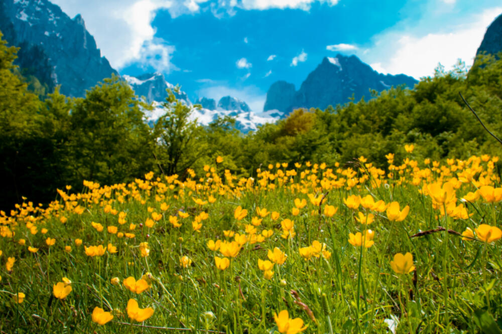 Prokletije, Grebaje, Foto: Shutterstock.com