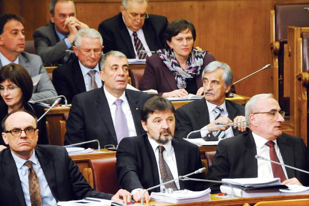 Zoran Jelić, Foto: Boris Pejović